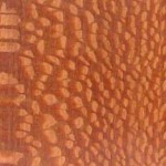 Leopardwood